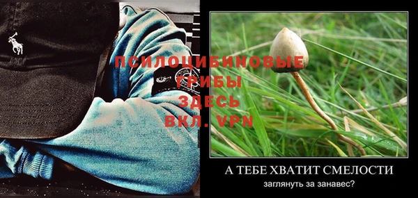 стафф Баксан