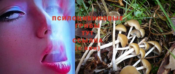 ПСИЛОЦИБИНОВЫЕ ГРИБЫ Беломорск