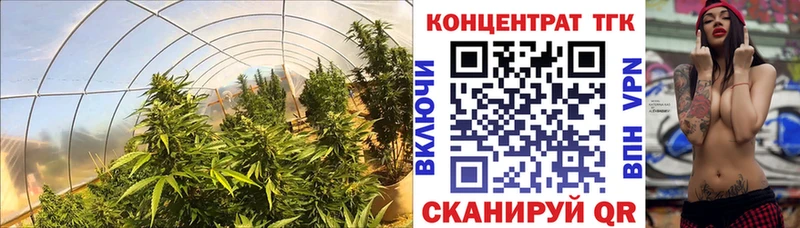 ТГК вейп  Беслан 