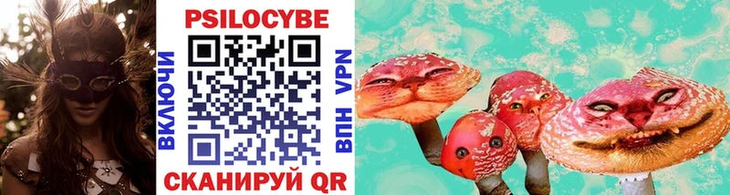 дарк нет Telegram  Беслан  Галлюциногенные грибы Cubensis 